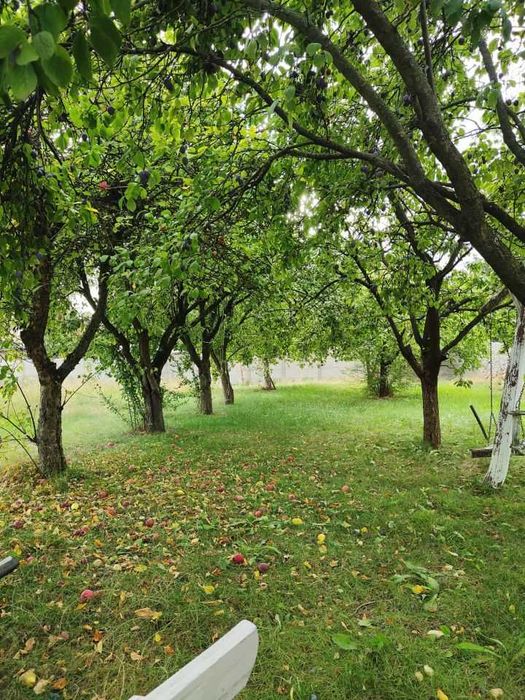 Dzialka w spokojnej okolicy - świetna dla rodzin