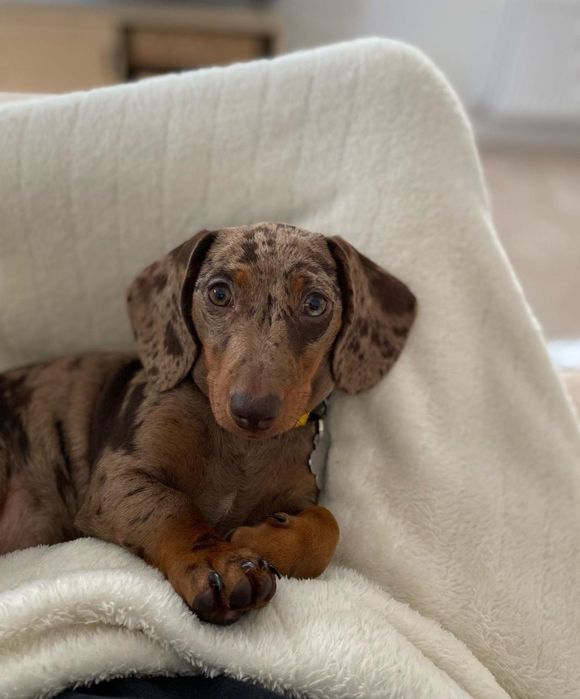 Продається мраморна дівчинка