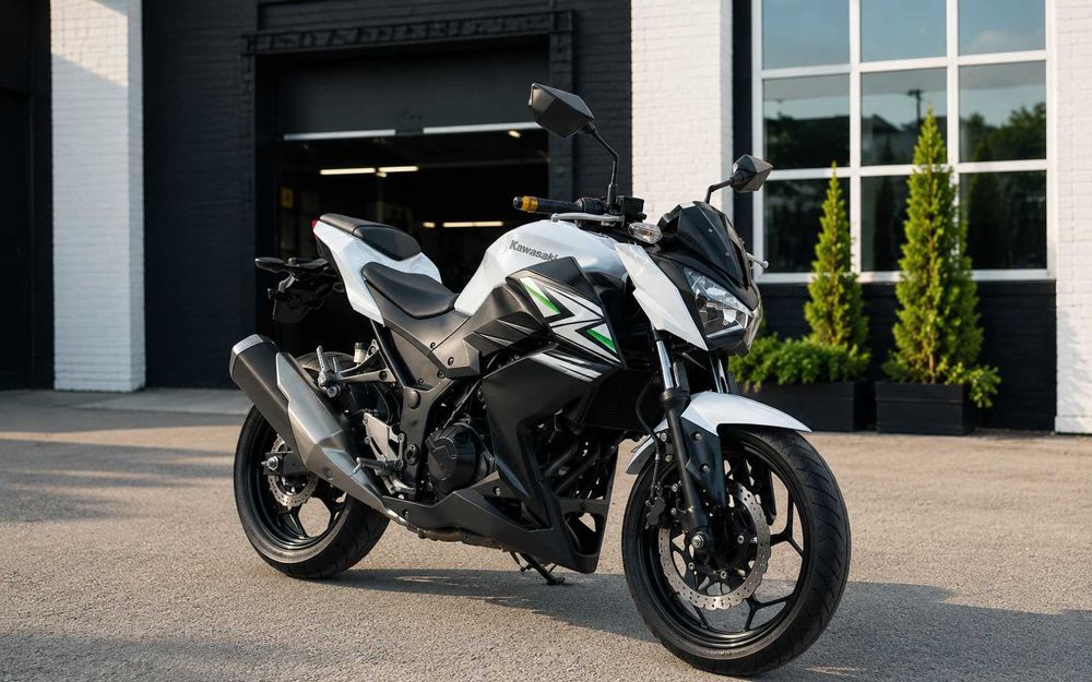 Kawasaki Z250 2013 рік, білий, пробіг лише 6 872 км