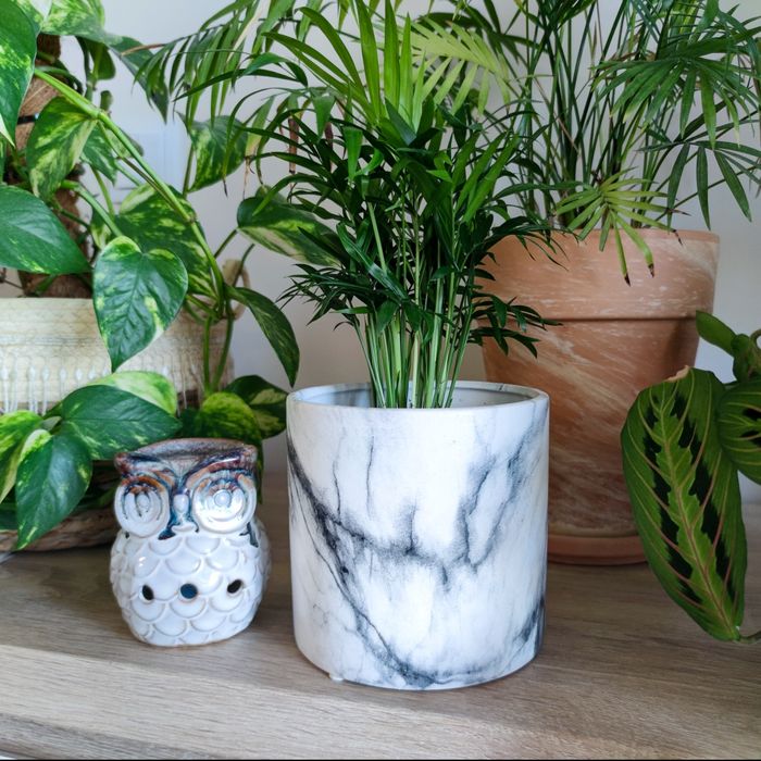 Osłonka marmurkowa do kwiatów