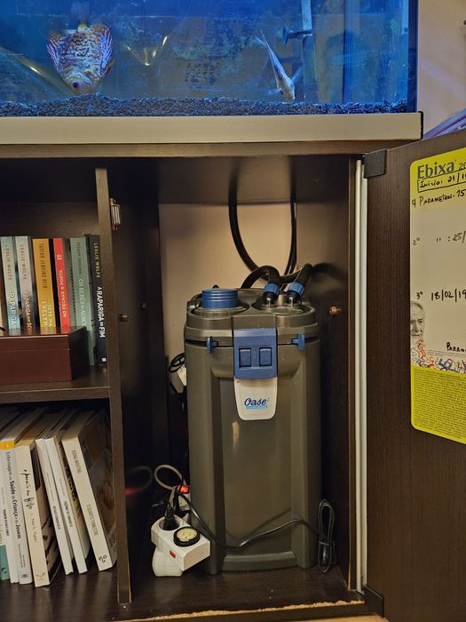 Aquario completo a funcionar