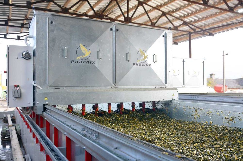 Стіл для сушіння гарбузового насіння / гарбузовий стіл PHOENIX 12*2