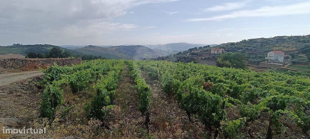 Terreno  para venda
