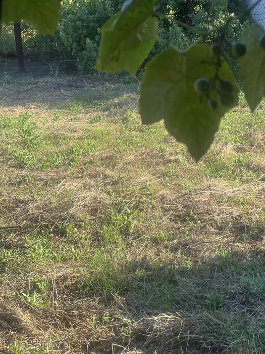 Продам дом  р-н Дружбы, ул. Батьківщини ( бывшая Родины) "Сертификат можна.