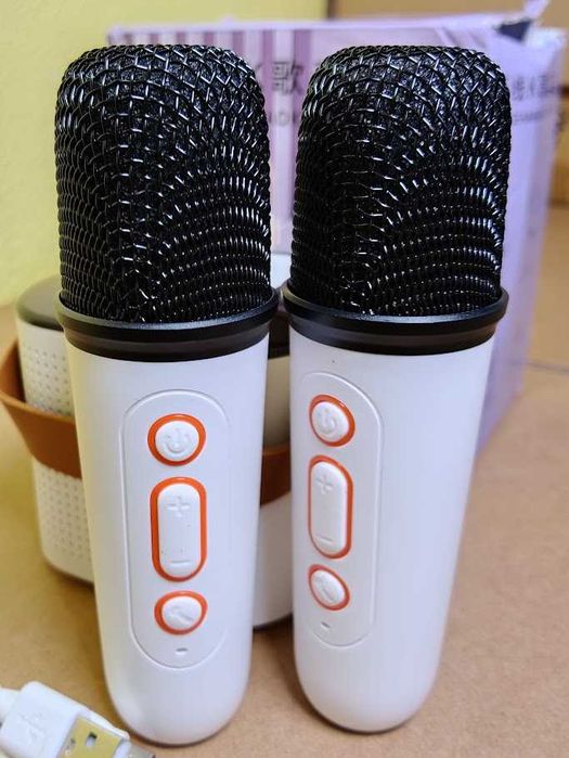 Altifalante com 2 Microfones Sem Fios / Karaoke Y1 NOVO