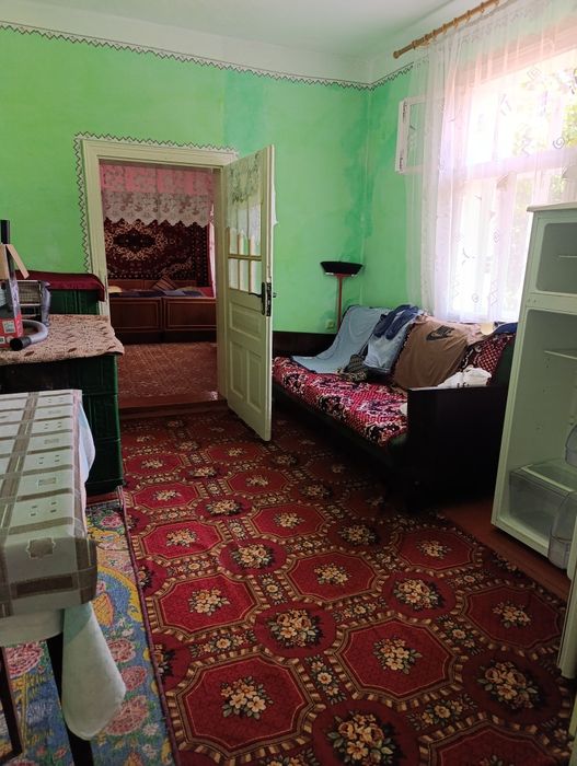Продається господарство в селі Михайлівка Чернівецької області.