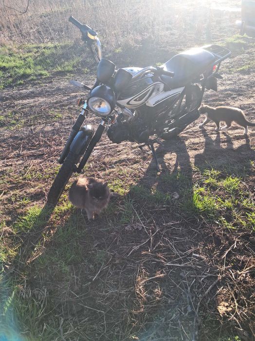 Продам Альфа Forte 125 БЕЗ ТОРГА