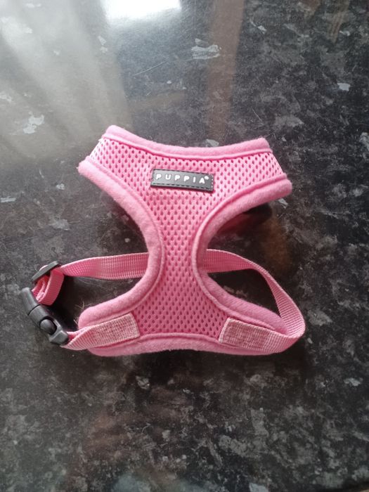 Peitoral cães rosa tamanho xs soft