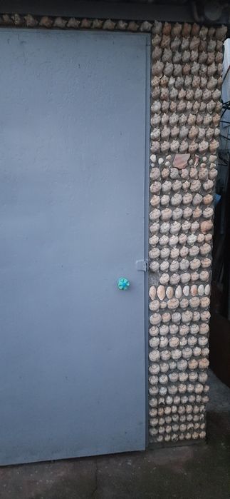 Морські камінчики та ракушки рапана