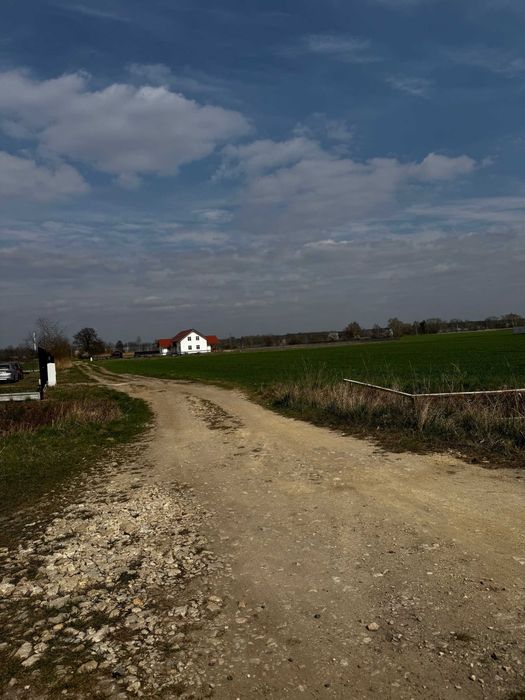 Działka Szczedrzyk - BUDOWLANA - Sprzedam . Działka okolica Turawa . Sprzedam działkę . Blisko Jeziora , Las. - Widok 4