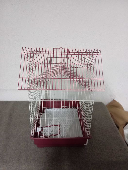 Gaiola para Pássaros pequenos