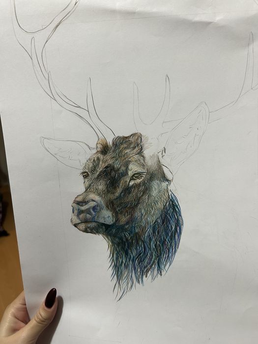 Desenho Tradicional
