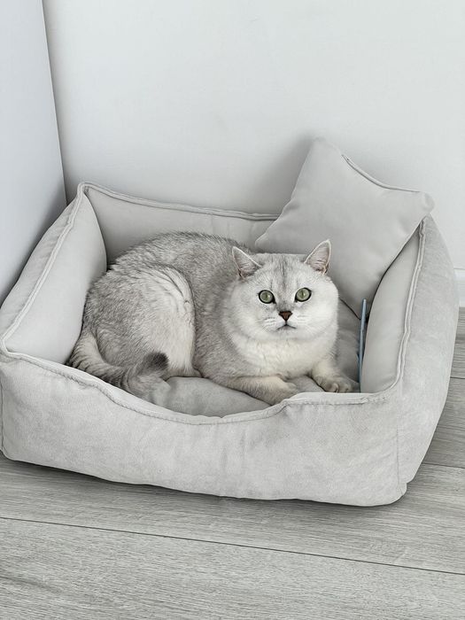 Лежанки для собак і котів