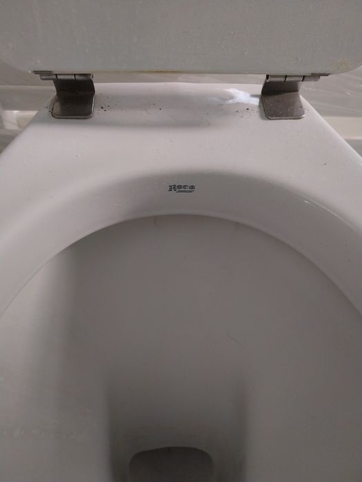 Sanita  Branca Roca com tampo