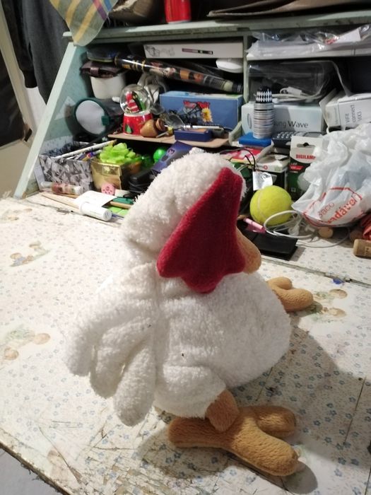 Vendo galinhas bom estado