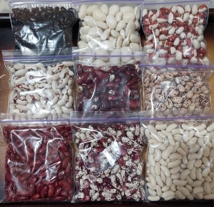 Домашня квасоля різних сортів