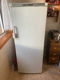 Arca frigorífica SIEMENS vertical 6 gavetas - medidas 1,54 X 60 cms