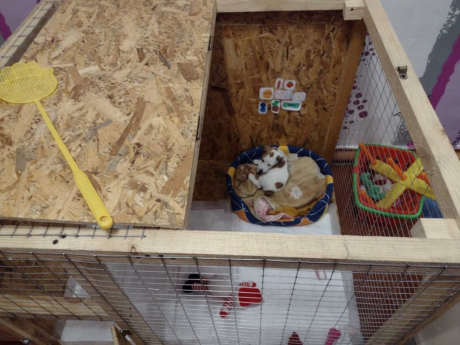 Вольер( будка) для собаки