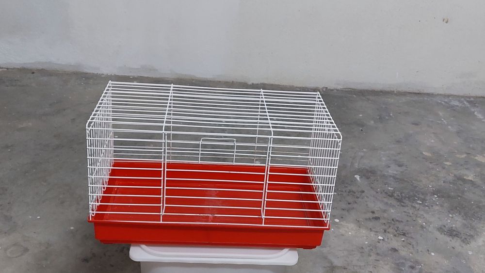 Gaiola porquinho da india