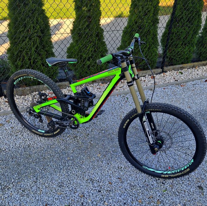 Scott gambler olx sale