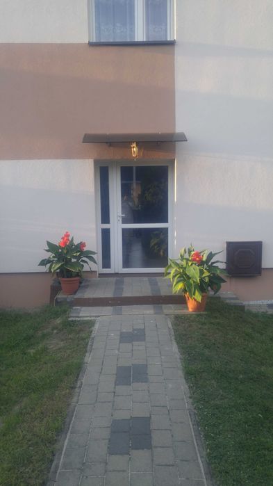 Lokal do wynajęcia 34m2 bezczynszowe!
