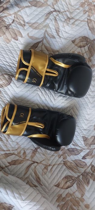 Rękawice bokserskie Bushido 8 OZ