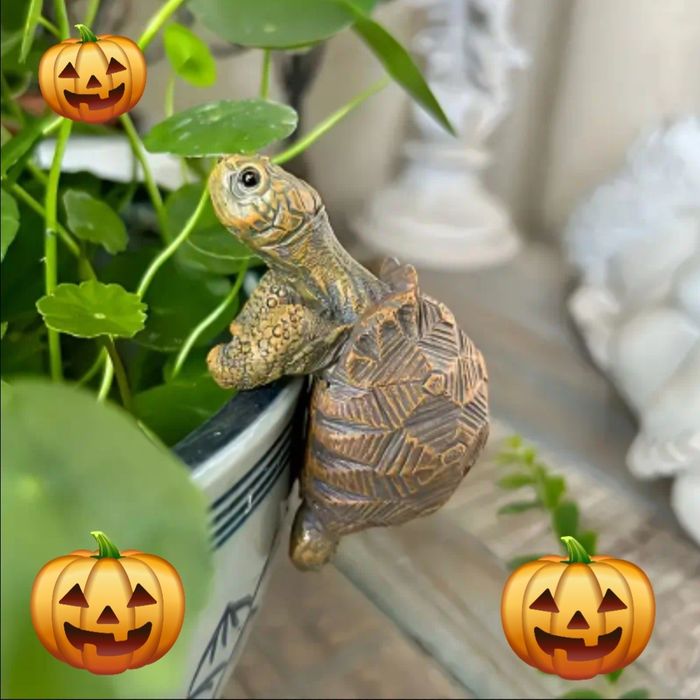 Tartaruga para vasos