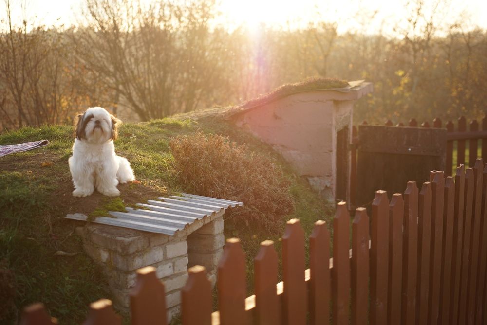 Sigma obiektyw Art 18-35/1.8 [Sony Minolta] + pokrowiec