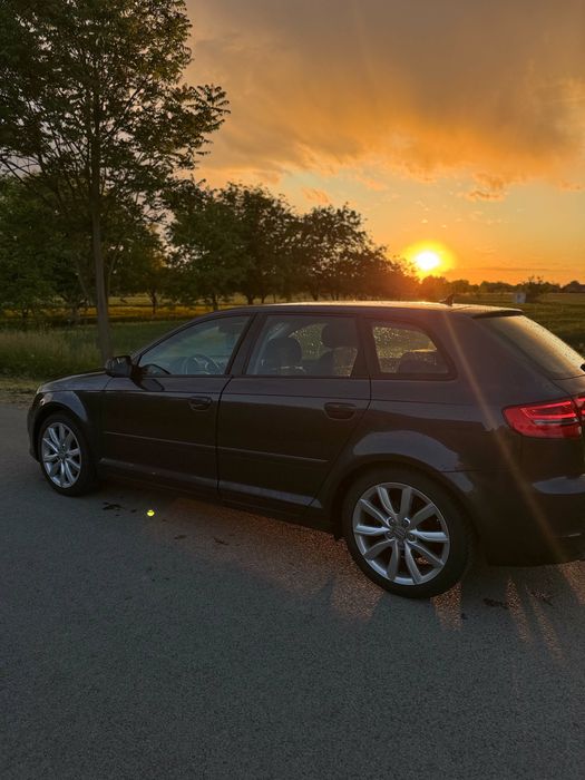 Audi A3 8P Quattro