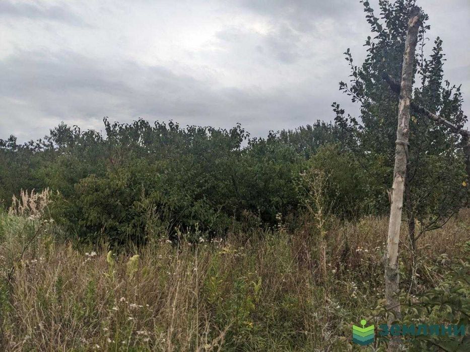 Продається ділянка в Клузові 9 сот (8)