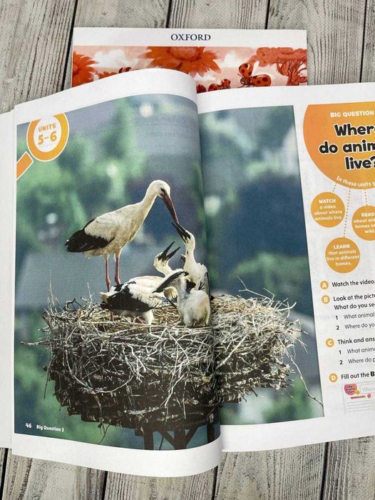 Oxford Discover 1, 2, 3, 4, 5, 2nd ed