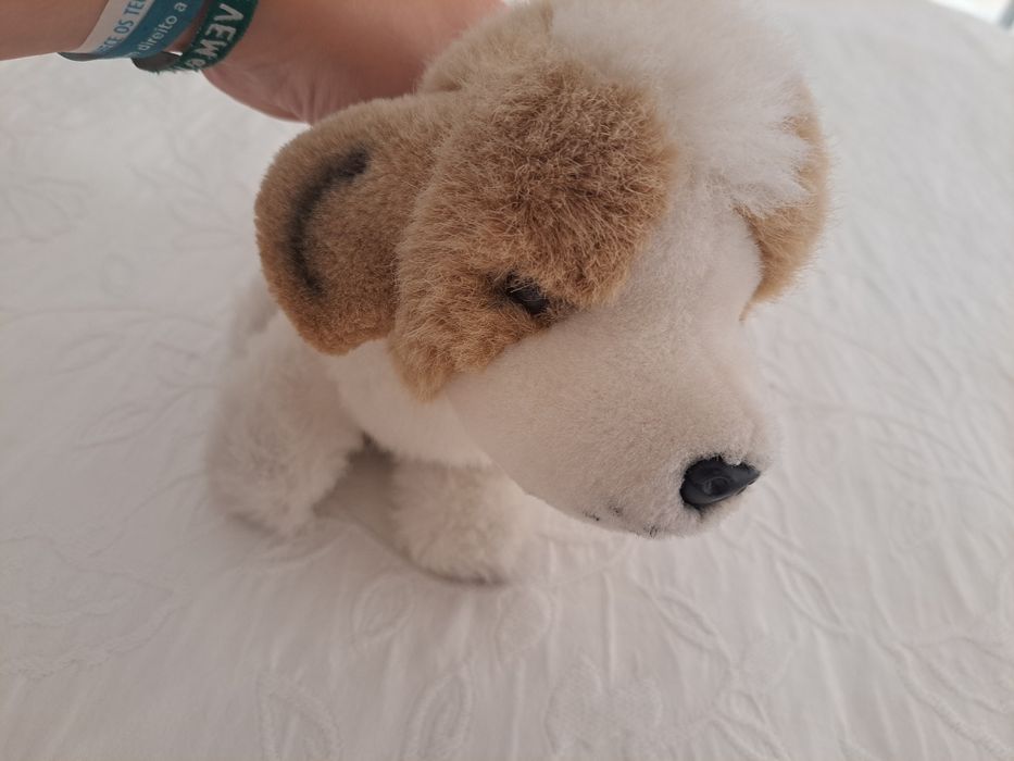 Urso de peluche super lindo