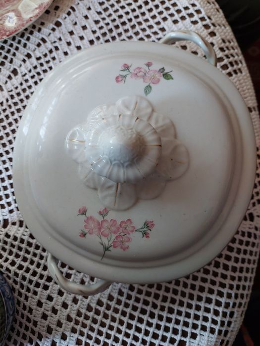 Terrina Vista Alegre