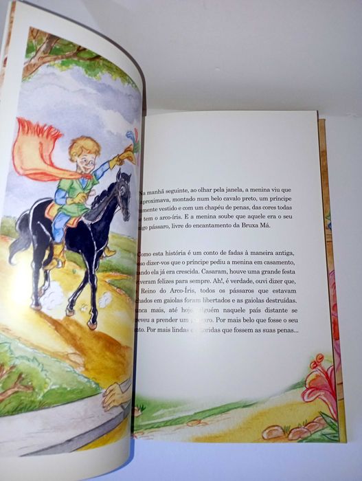 A Princesa corajosa