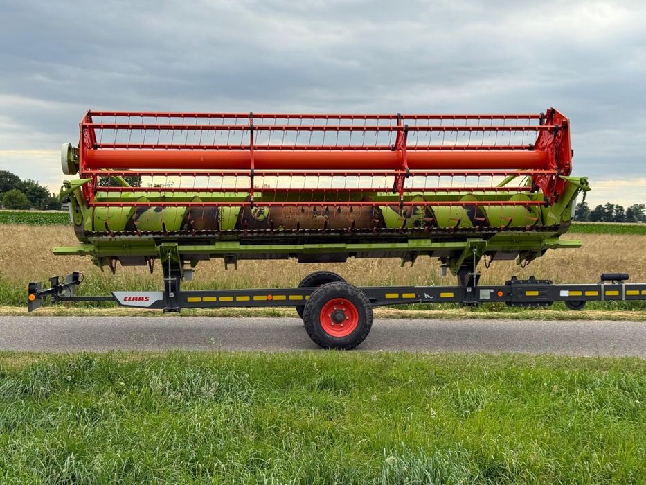Claas Cerio 560 Heder Tucano Lexion •2021 rok!•