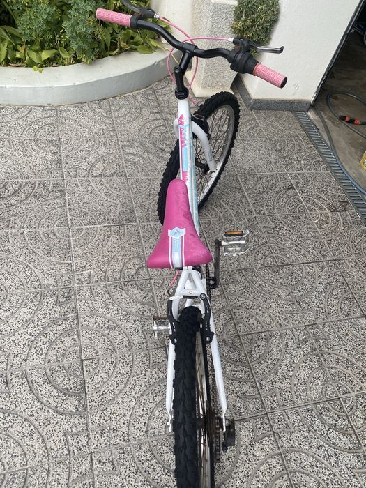 Bicicleta Criança/adulto