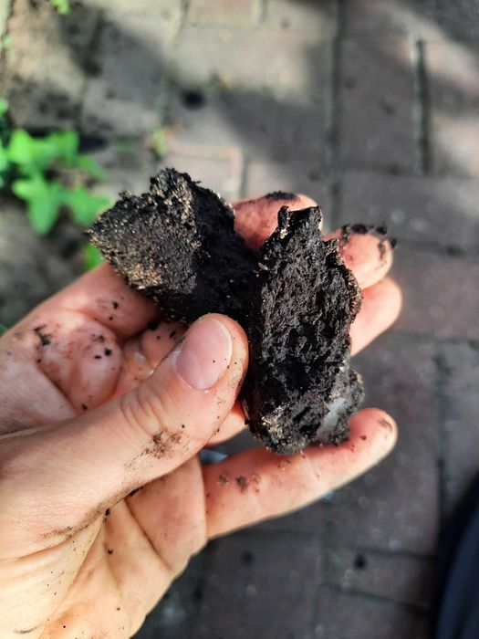 Wiercenia geologiczne i opinia geotechniczna pod budowę I Geolog
