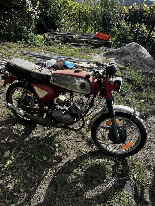 Casal Mamute para resrauro