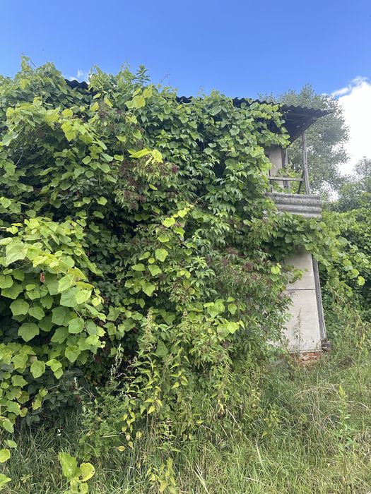 Продам земельну ділянку разом із будиночком у селі Рудка