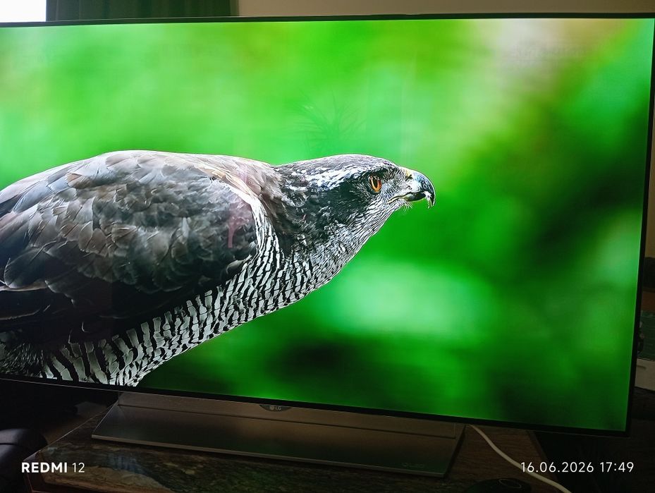 Телевізор LG 55 дюйма