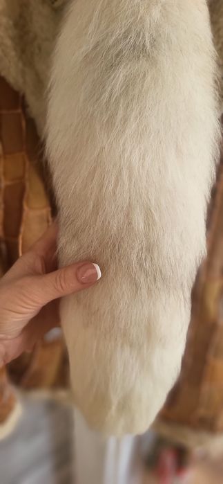 Lisia kita zawieszka