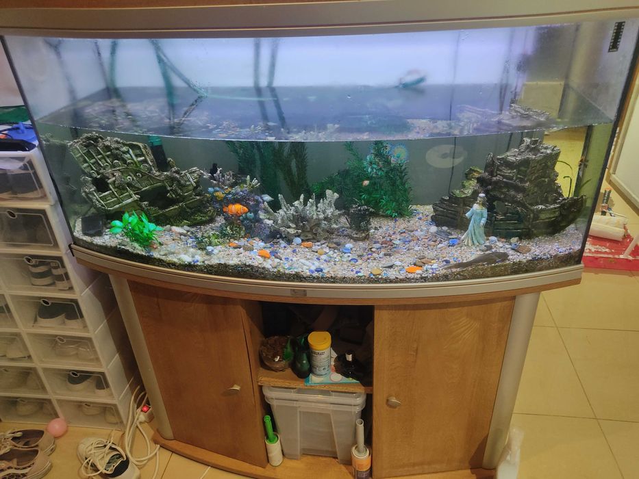 Aquário com móvel 350litros