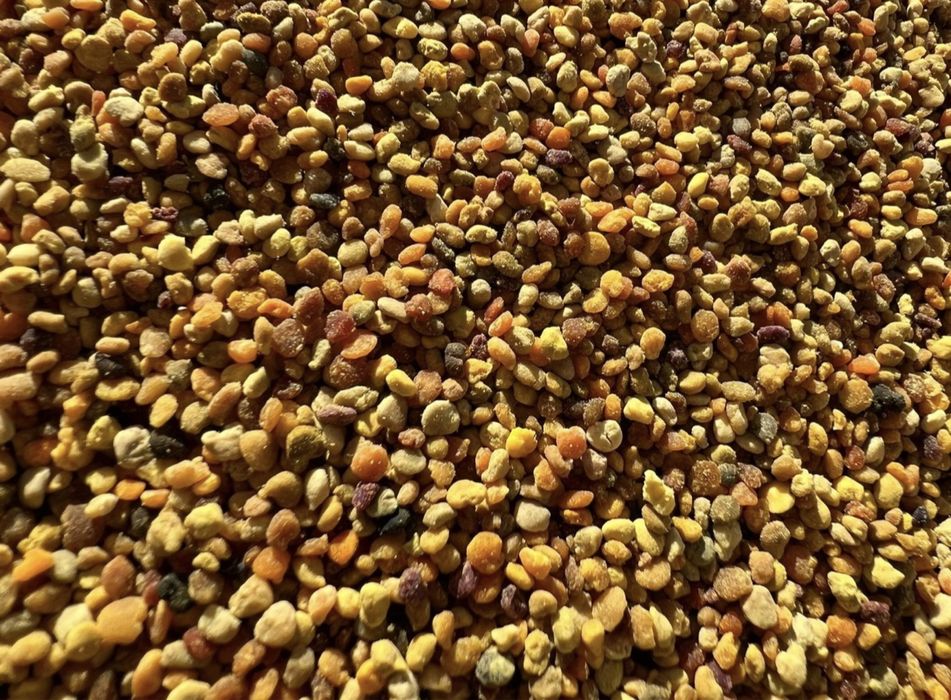 pyłek, pyłek pszczeli kwiatowy kolorowy miód pasieki słoik