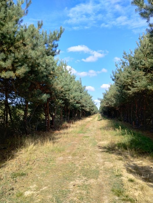 Działka budowlana   z  prądem, wodą i planem zagospodarowania