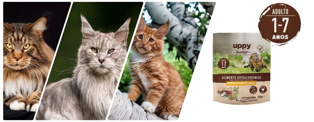 Uppy Nature Karma Bezzbożowa Z Kurczakiem Dla Kota 400G