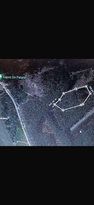Terreno urbanizável com 9.305 m2 em Pataias, Alcobaça
