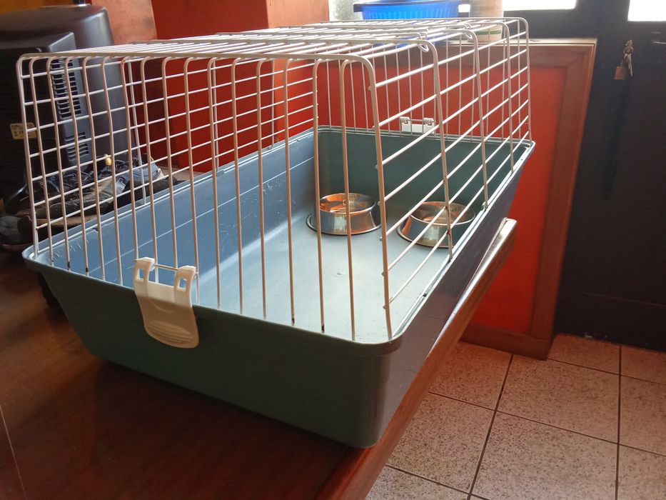 Gaiola para coelho anão