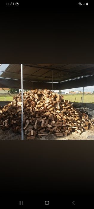 Lenha de sobro seca