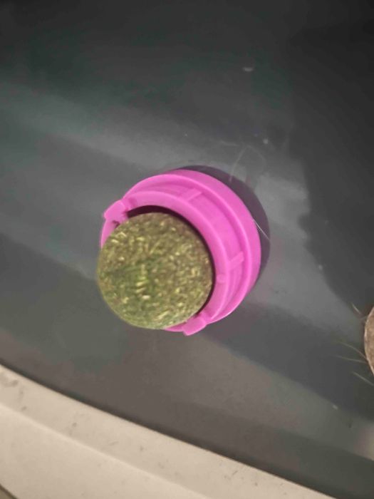 Кошачья мята, лакомство для котов, кошек и котят