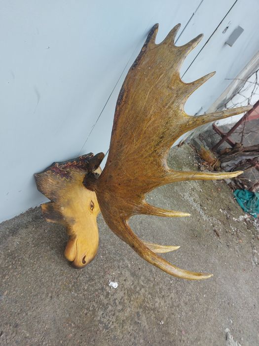 Роги оленя та лося